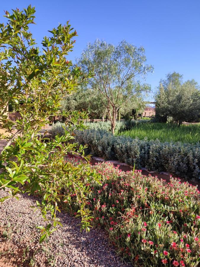 Maison D'Hotes Tigminou - Adults Only Ait Benhaddou Exterior photo