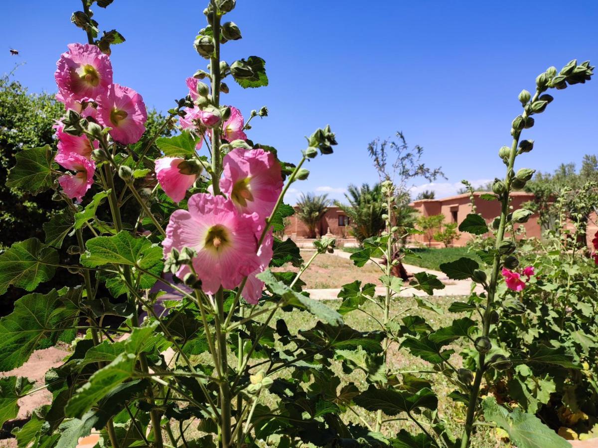 Maison D'Hotes Tigminou - Adults Only Ait Benhaddou Exterior photo